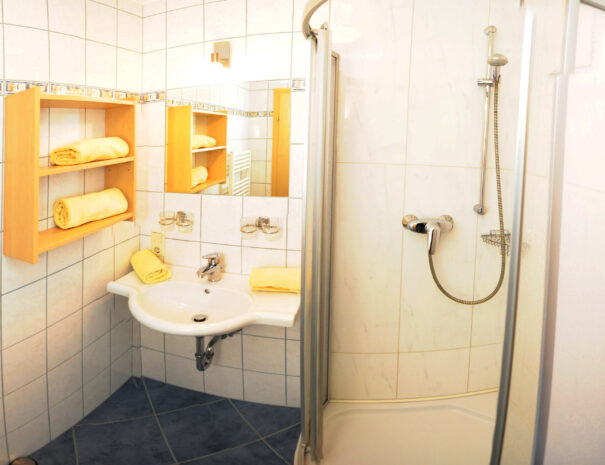 Appartement Birnhorn